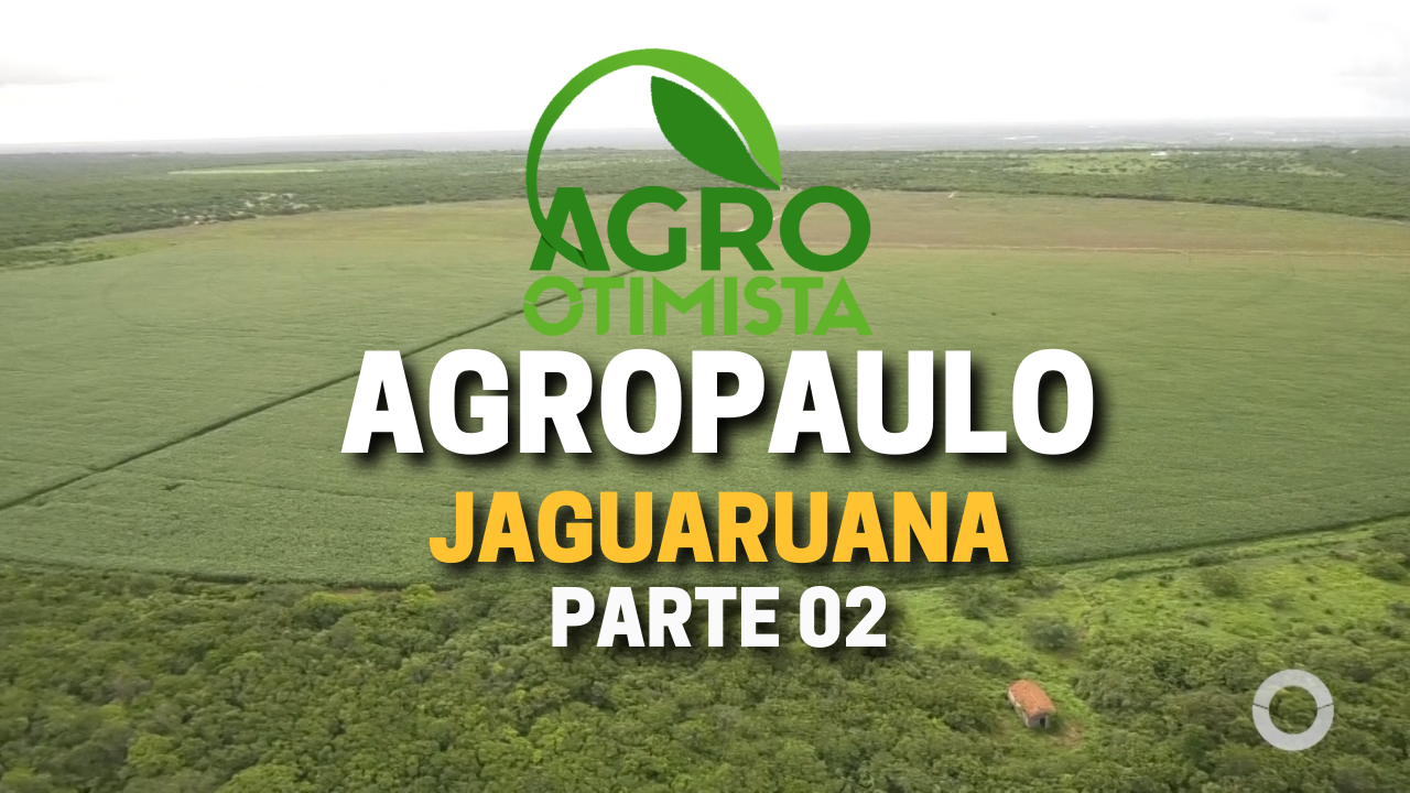 Agro Otimista continua a mostrar as potencialidades da Agropaulo em Jaguaruana
